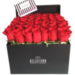 Floral- Luxury Collection